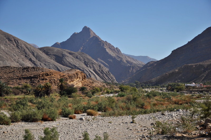 plant, oman, muscat, nature, formation, idyllic, tranquil scene, climate, environment, outdoors, landscape, rock, mountain range, arid climate, no people