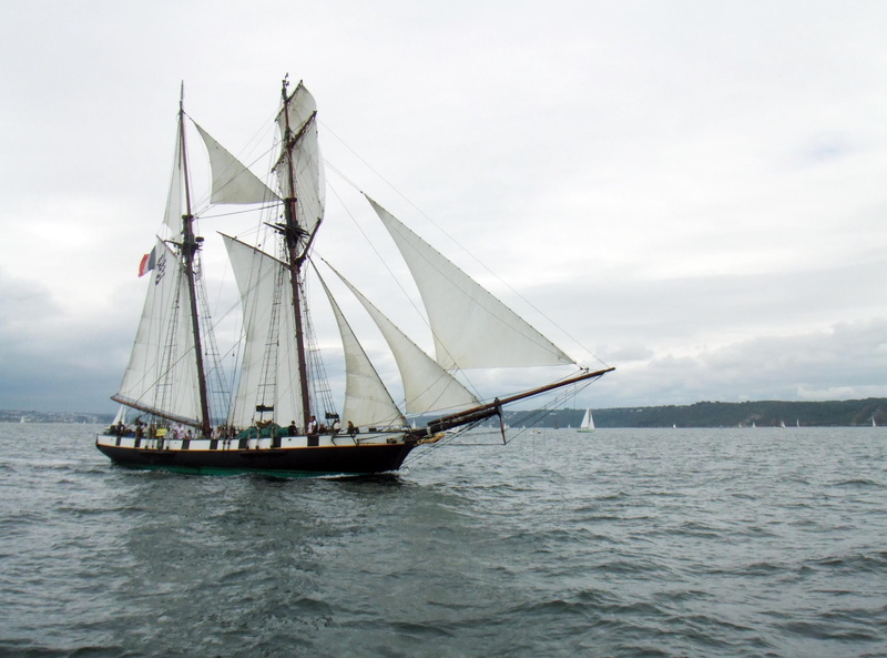sailboat, mode of transportation, sail, brest, beauty in nature, sailing Ship, 1080P, travel, regatta, day, nautical Vessel, mast, sailing, former, outdoors