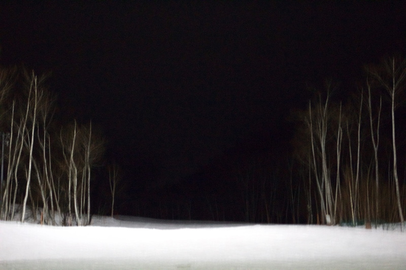 night, blizzard, tree, illuminated, cold temperature, nature, 5K, snowing, tranquility, outdoors, winter, mystery, dark, storm, snow, hokkaido prefecture
