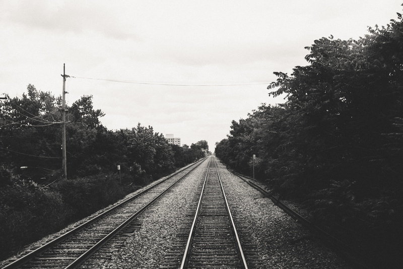 tree, plant, rail, travel, mode of transportation, old, parallel, vintage, railway, straight, public transportation, growth, track, worth, diminishing perspective