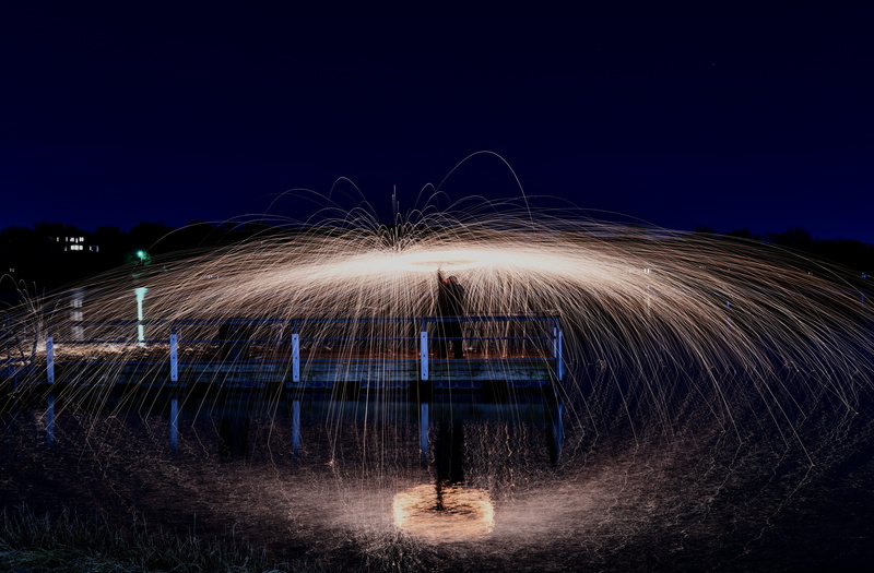 fort worth, animal, mammal, 8K, circle, one person, blossom, pet, arts culture and entertainment, light trail, fern, geometric shape, speed, glowing, fountain
