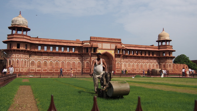 india, built structure, care, gazon, sky, architecture, lawn mower, grass-cutter, green color, 4K, travel, building exterior, grass, real people, history