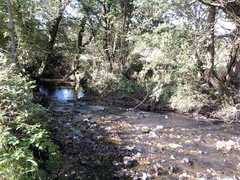 clive, trees, water, 3d and abstract, pontyates, nice, author, green, worth, river, 1080P