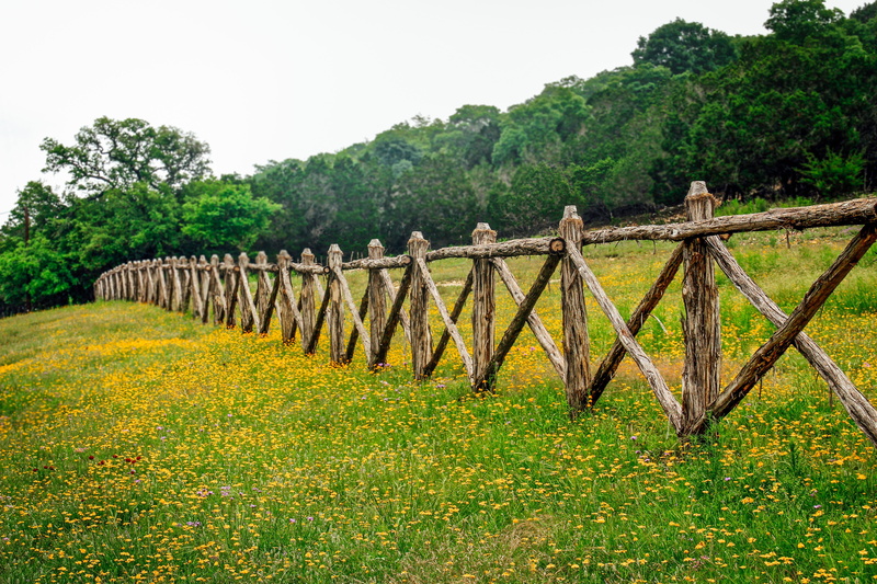 5K, landscape, beauty in nature, fence, scenics - nature, no people, hill country texas, west texas, tree, environment, boundary, outdoors, barrier, tranquility