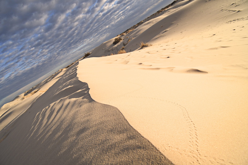 water, monahans, west texas, united states, idyllic, sun, desert, sunrise, tranquility, environment, outdoors, arid climate, day, tx, monahans sandhills state park