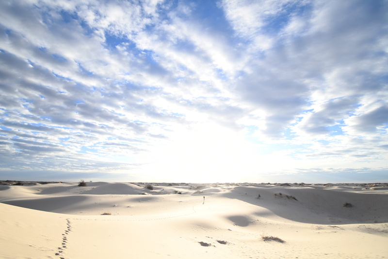 monahans, sunrise, no people, nature, sandhills, climate, desert, footsteps, dunes, west texas, tranquility, 5K, water, day, tranquil scene, non-urban scene