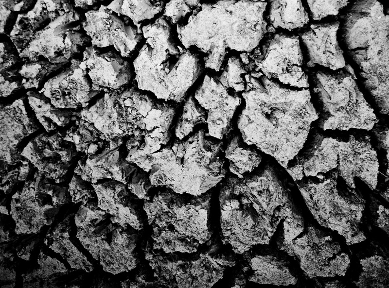 growth, Black and White, dirt, close-up, Google, directly above, full frame, doesn, photowalking, wood - material, heap, land, textured, dried, natural pattern