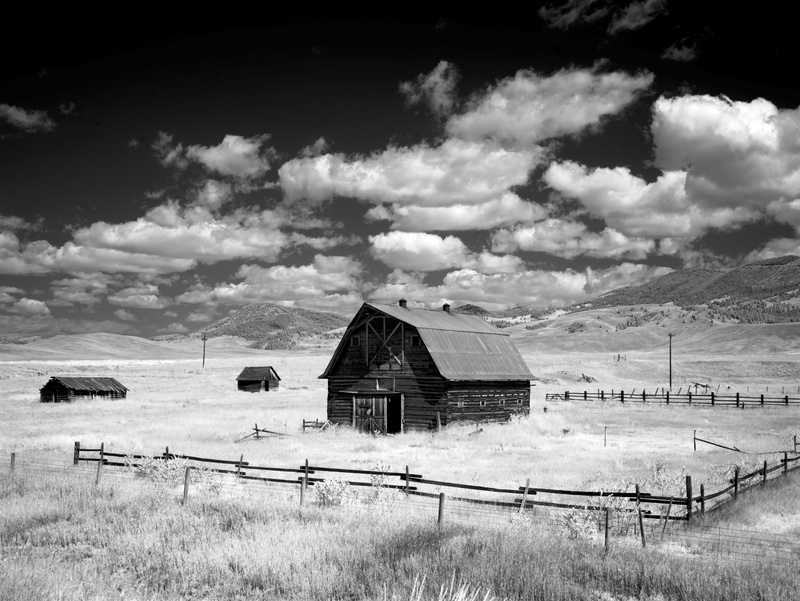 outdoors, black and white, landscape, united states of america, cloud - sky, united states, black white, clouds, field, plant, summer, infra red, rural scene