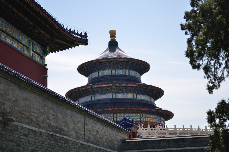 tree, no people, built structure, belief, architecture, sky, 4K, nature, day, building, beijing, travel destinations, tourism, spirituality, the temple of heaven