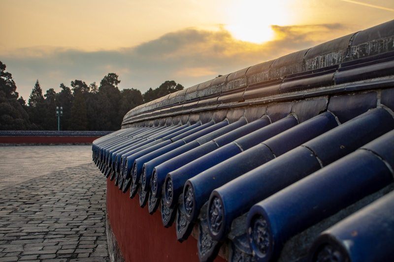 5K, tree, tiles, blue, outdoors, in a row, industry, orange color, roof, sun, architecture, plant, sunset, beijing, day, no people, silver colored, cloud - sky