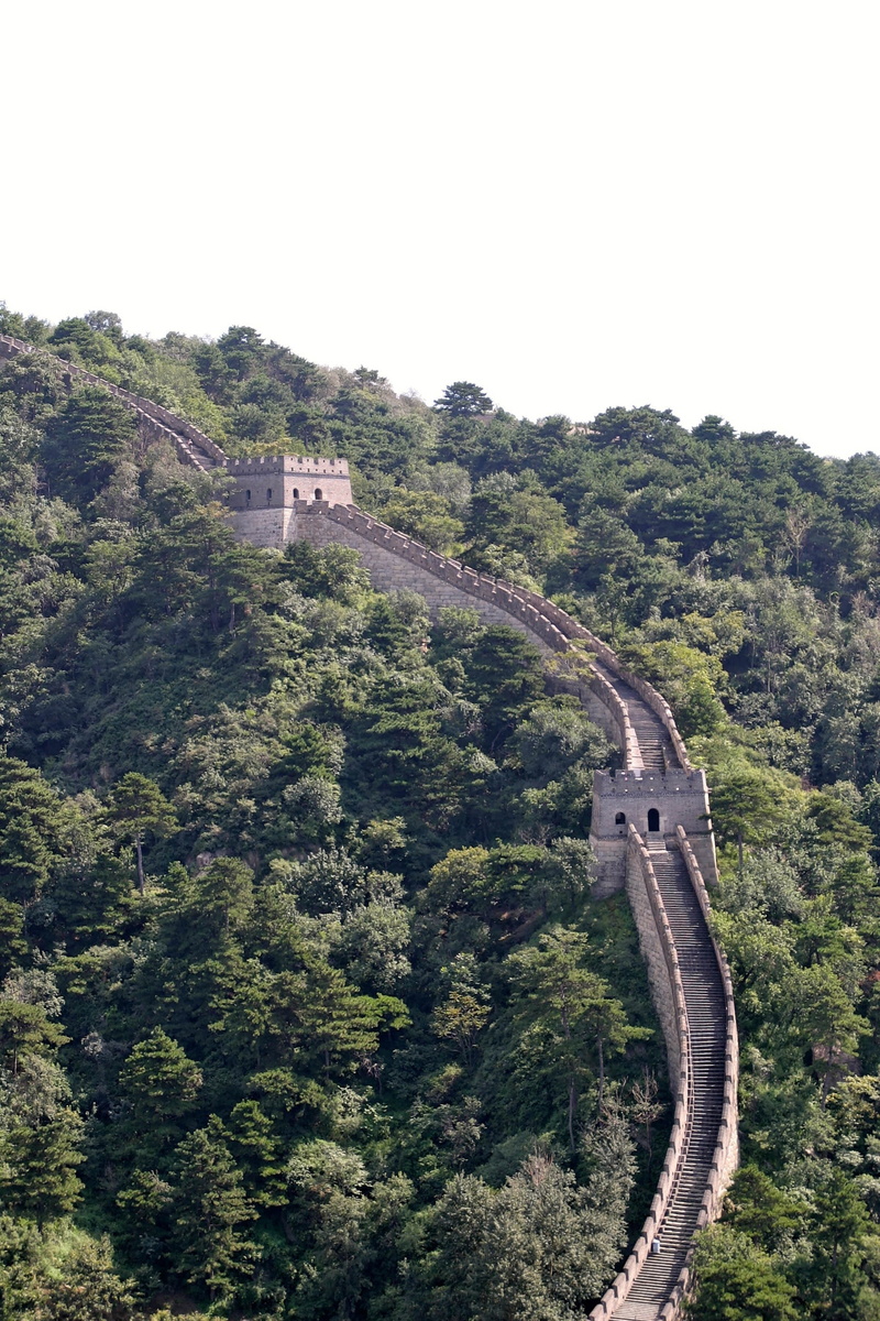 travel, china, history, 2K, landmark, transportation, building, forest, plant, attraction, built structure, day, great wall of china, tourists, the past