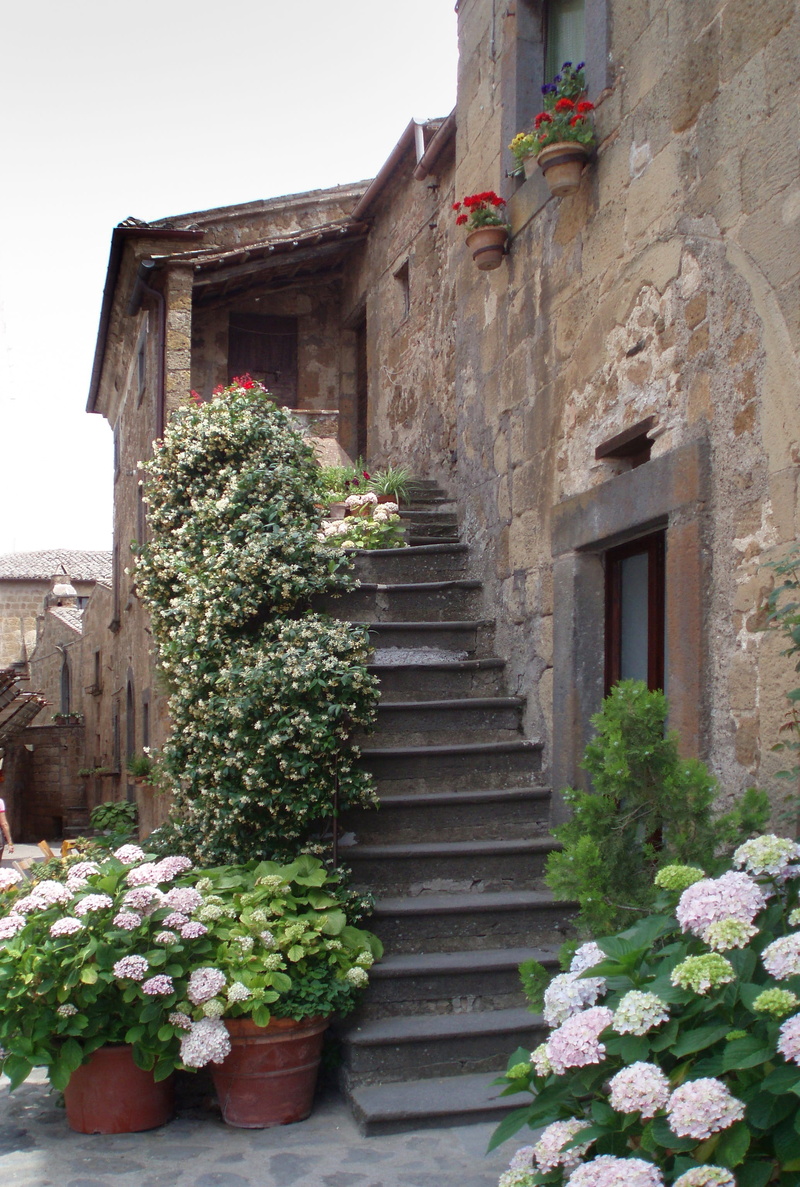 architecture, growth, building exterior, staircase, village, civita di bagnoregio, day, nature, steps and staircases, window, medieval, house, italy, residential district