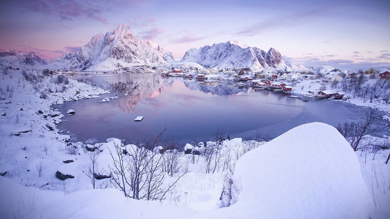 pine tree, norway, reine, nature, ice, environment, tree, mountain peak, cold temperature, mountain, snow, sky, beauty in nature, landscape, tranquility