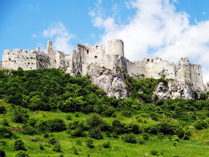 fortification, ancient, low angle view, monument, ancient civilization, castle, nature, the past, outdoors, sky, growth, day, ruined, built structure, no people