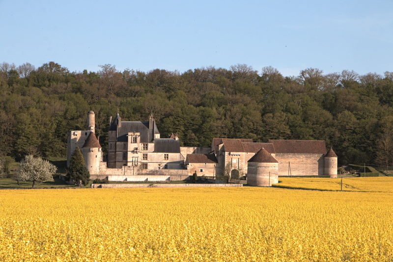 burgundy, field, culture, yellow, rural scene, old, building exterior, 1080P, houses, crop, farm, blue, agriculture, growth, the nivernais canal, picturesque