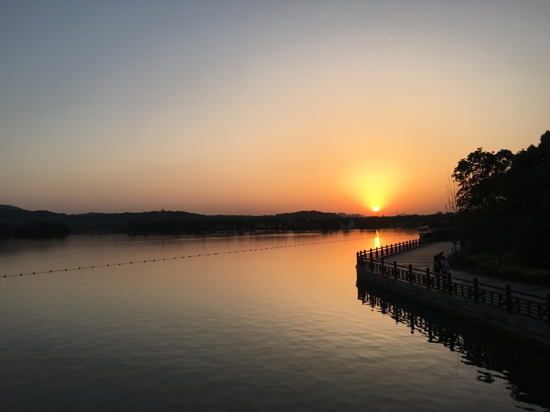 lakefront, silhouette, early summer, tree, scenics - nature, tranquil scene, tranquility, no people, sky, orange color, sunset, taihu lake, 4K, reflection