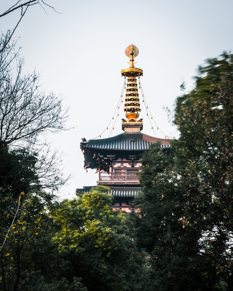 sky, tree, growth, spirituality, plant, low angle view, outdoors, leafe, spire, traditional, 4K, temple, day, built structure, nature, cloud, china, belief