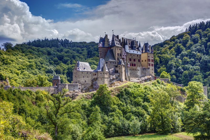 nature, beauty in nature, built structure, history, growth, ELTZ castle, the past, tree, trees, mountain, brown, forest, land, no people, day, architecture