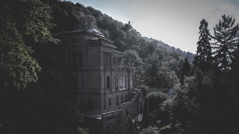 tree, sky, built structure, house, column, growth, 4K, day, clear sky, photography, building exterior, no people, stones, forest, architecture, obsolete