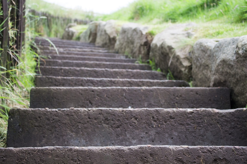 plant, walk, day, direction, solid, castle, stone - object, focus on foreground, steps, in a row, stone material, grass, nature, architecture, close-up