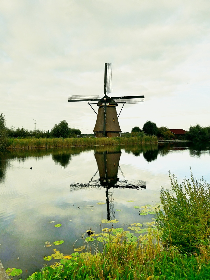 september, environment, mill, autumn, day, holland, beauty in nature, 2K, landscape, nature, no people, lake, wind turbine, environmental conservation