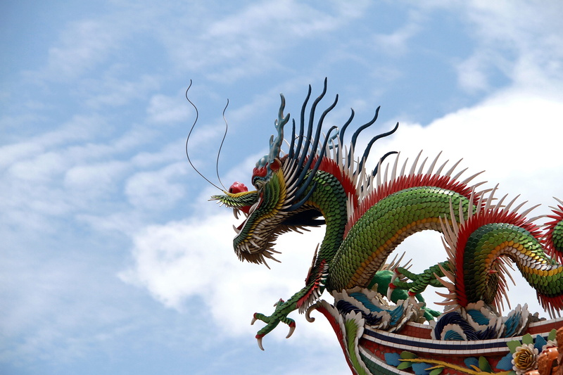 animal, plant, religion, cultures, representation, architecture, ceramic chip, animal representation, craft, asia, iguana, Long, multi Colored, dragon