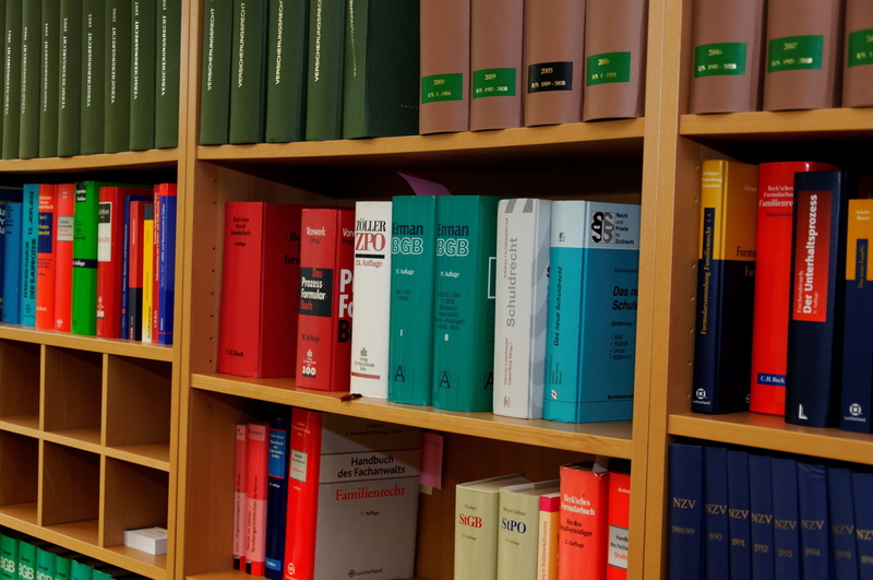collection, regulation, shelf, jura, side by side, arrangement, education, variation, order, indoors, still life, clause forest, abundance, paragraphs