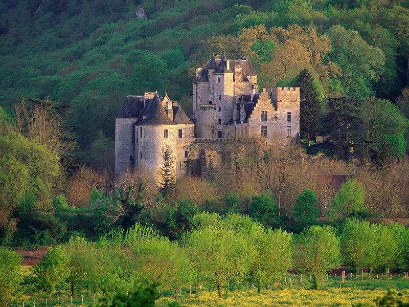 scenics, tower, tree, building, country, old, forest, medieval, grass, mountain, castle, landscape, house, scenics - nature, 720P, nature, history, surrounding Wall