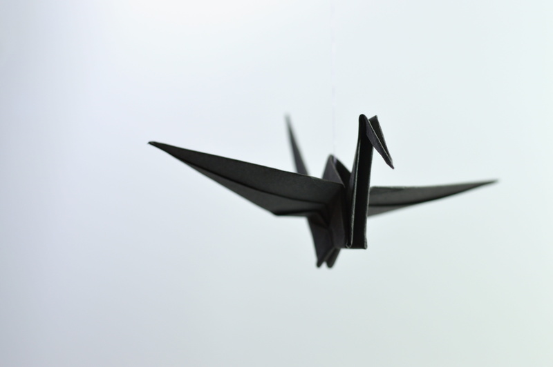 copy space, military, paper, low angle view, bird, flying, on the move, ave, air vehicle, no people, black, japan, handmade, freedom, bent, crane, studio shot