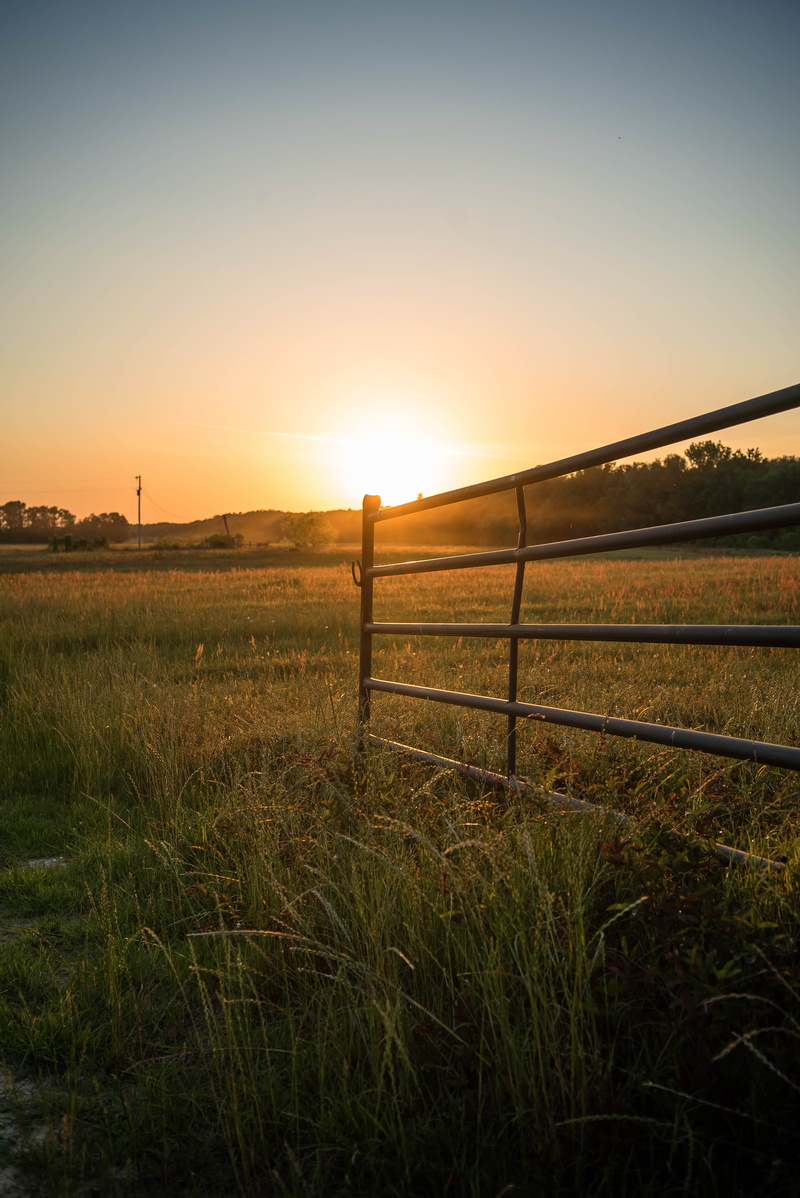 fence, sky, meadow, scenics - nature, no people, plant, sunset, tranquility, light, paddock, environment, sun set, tranquil scene, ranch, sun rise, orange color