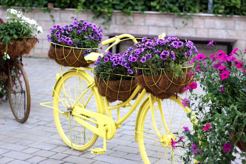 transportation, flower arrangement, design, decoration, flower head, basket, mode of transportation, container, yellow, beauty in nature, wheel, flowers