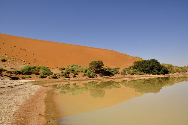 abfrika, no people, lake, scenics, landscape, sand dune, nature, environment, land, sossousvlei, Water, tranquil scene, namibia, climate, semi-arid, tranquility