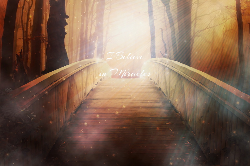 miracles, connection, diminishing perspective, inscription, wood, no people, sunbeam, nature, illuminated, bridge, motion, the way forward, glitter, day