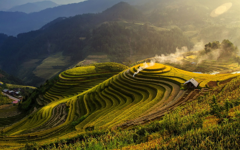 rice - cereal plant, nature, environment, terrace, high, field, tranquility, terraces, tranquil scene, land, landscape, mountain, rice paddy, beauty in nature