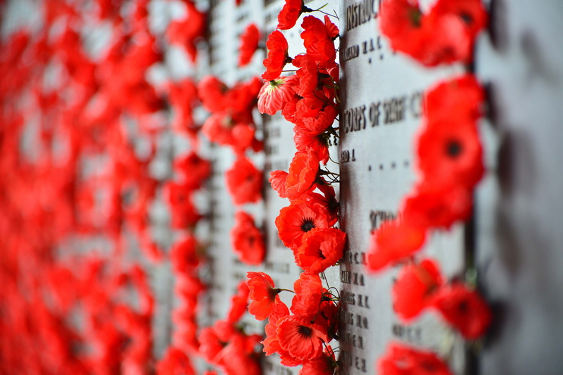 backgrounds, red, no people, safety, focus on foreground, decoration, war memorial, selective focus, nature, fruit, hanging, 4K, flower, built structure
