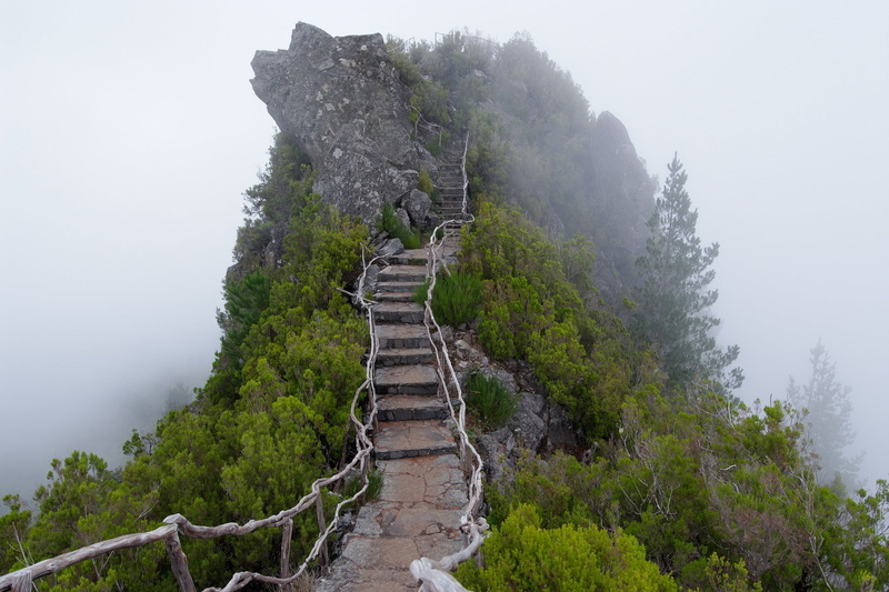 outdoors, non-urban scene, the way forward, rock - Object, travel, day, plant, mountain Peak, great Wall Of China, chinese Culture, mountain, steps, forest