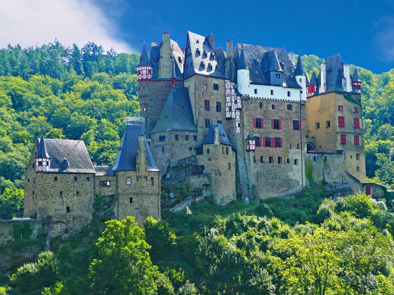 travel destinations, Sachsen, growth, green color, old, places of interest, history, building exterior, fort, day, built structure, middle ages, no people