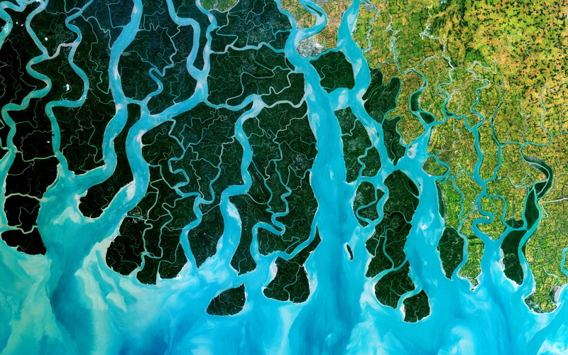 river, biology, cracked, fracture, education, backgrounds, full frame, technology, no people, magnification, Aerial View, water, abstract, Ganges, nature