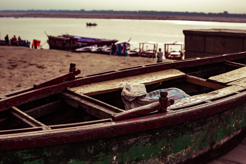 rowboat, nautical vessel, animal wildlife, assi ghat, river, ganges, perching, old boat, river beach, boat, varanasi, group of animals, stranded, wooden boat