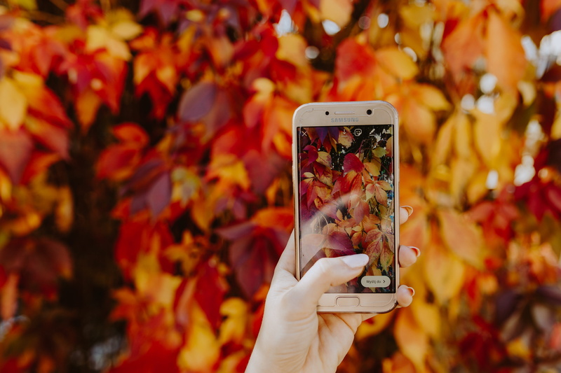blogger, mobile photography, takes, instagram, photography themes, mobile phone, orange, outdoors, holding, day, 4K, human hand, technology, plant part
