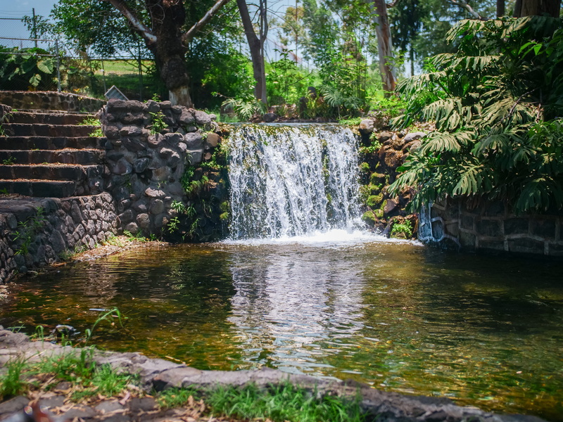 metepec, solid, flowing, environment, motion, puebla, mexico, flowing water, forest, growth, day, water, rainforest, cascade, scenics - nature, tree, 5K