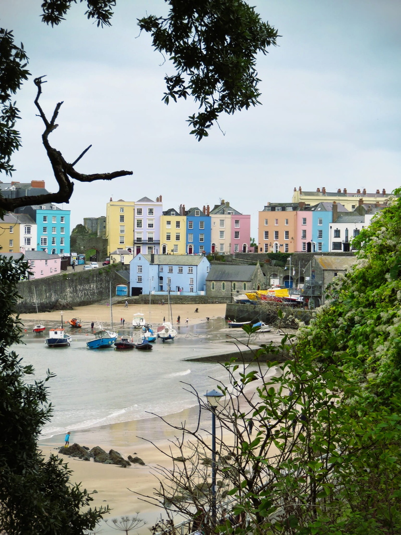 wales, tree, architecture, coastline, beach, cloud - sky, built structure, no people, city, sky, residential district, tenby, 1080P, building, plant, day