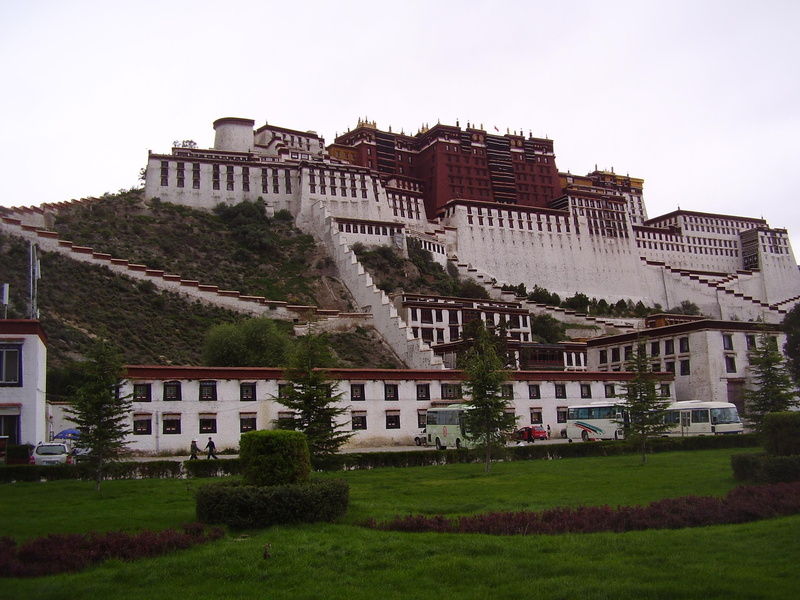 concrete, 2K, white, grass, palace, building, animals, tibet, potala, red
