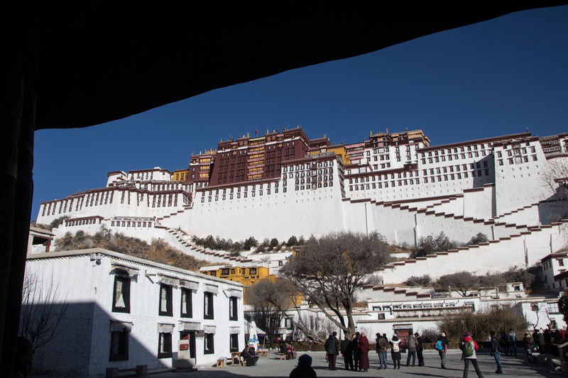 potala, city, tree, lhasa, travel destinations, travel, buddhist, potala palace, outdoors, building exterior, nature, monastery, group of people, 5K, tibet