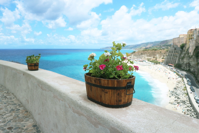 view, swimming pool, plant, flower, potted plant, flowering plant, retaining wall, italy, horizon over water, day, tranquility, beauty in nature, tranquil scene