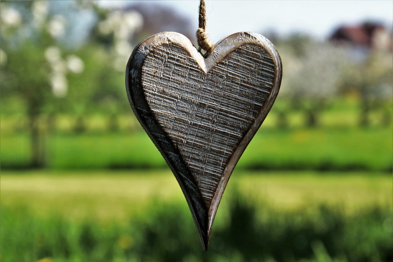 creativity, art and craft, hanging, wood - material, tree, the prospect of, positive emotion, feeling, figure, sunny, colored, leaf, love, spring, plant