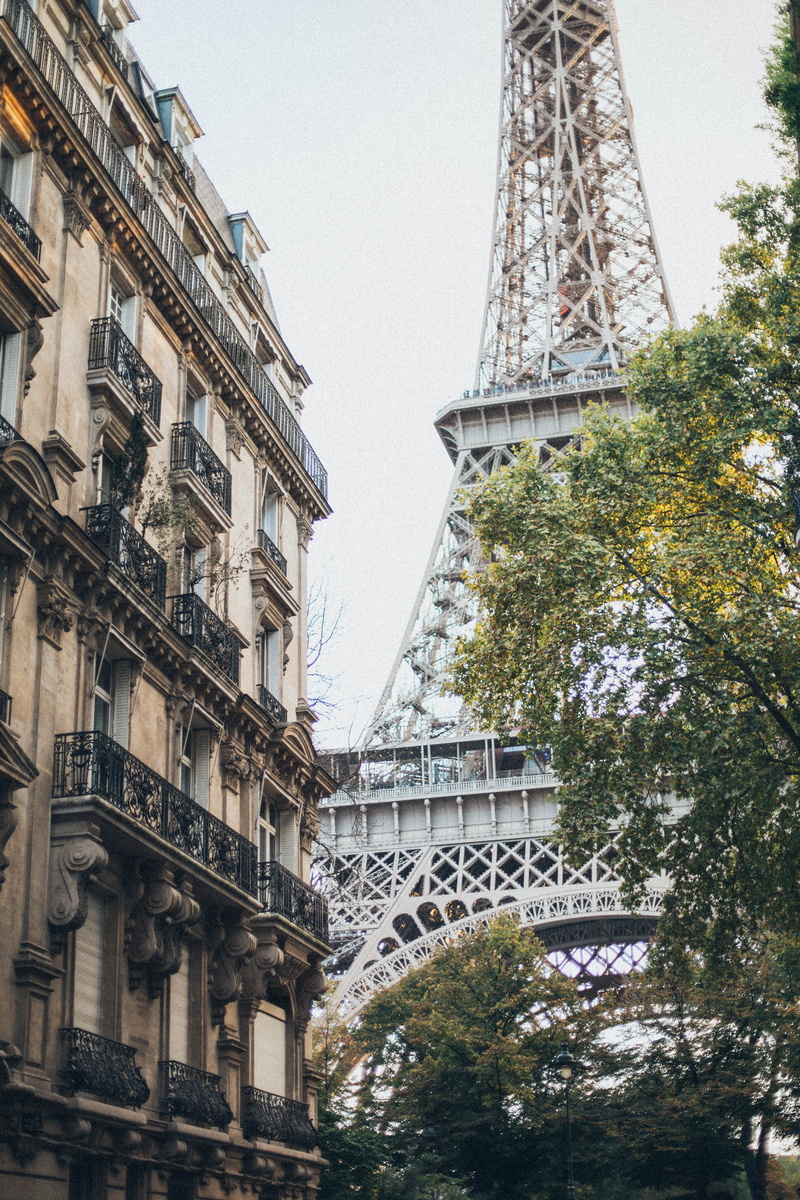 urban, tower, monument, travel, trees, plant, travel destinations, eiffel tower, no people, 5K, outdoors, cityscape, gray, tourist attraction, daylight