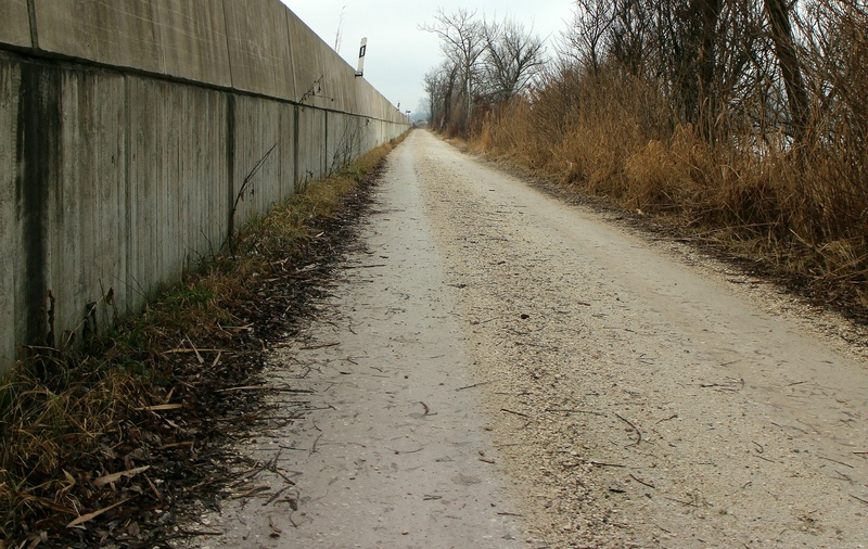 wall, diminishing perspective, limit, built structure, concrete, the way forward, architecture, concrete wall, distinguish, divorce, land, plant, security