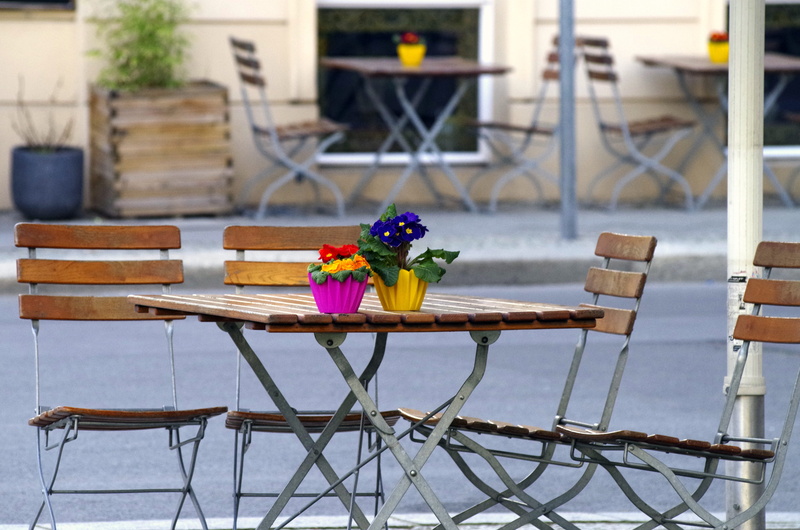 nature, flower head, potted plant, container, no people, flowering plant, seat, built structure, gastronomy, day, plant, outdoors, outside catering, beauty in nature