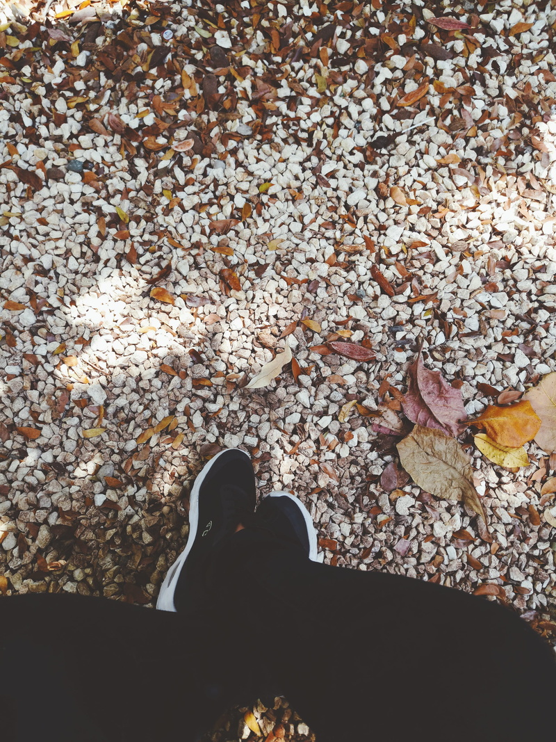 pebble, real people, human limb, human body part, santo domingo, universidad autónoma de santo domingo, plant part, one person, leaves, lifestyles, low section
